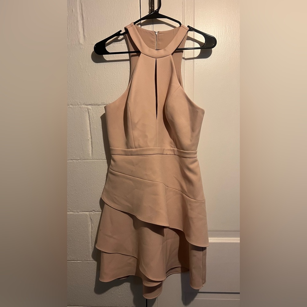 BCBG Blush Pleated Dress